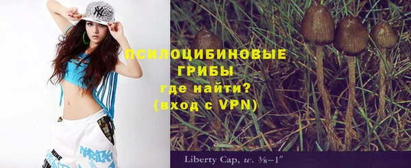 амф Абинск