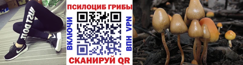 Галлюциногенные грибы ЛСД  продажа наркотиков  Зеленодольск 